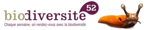 Biodiversité52