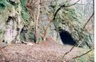 Fond-de-Forêt (Grottes de): photo de la fermeture