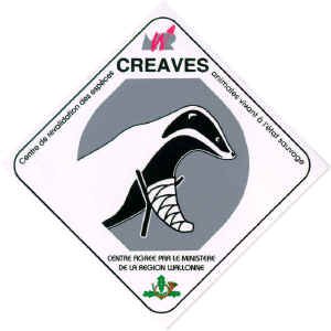 logo CREAVES