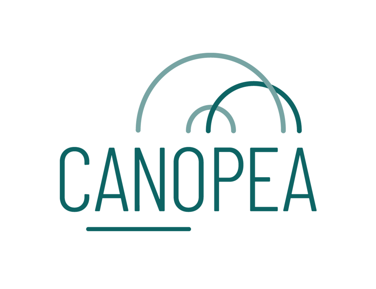 CANOPEA_WEB.png