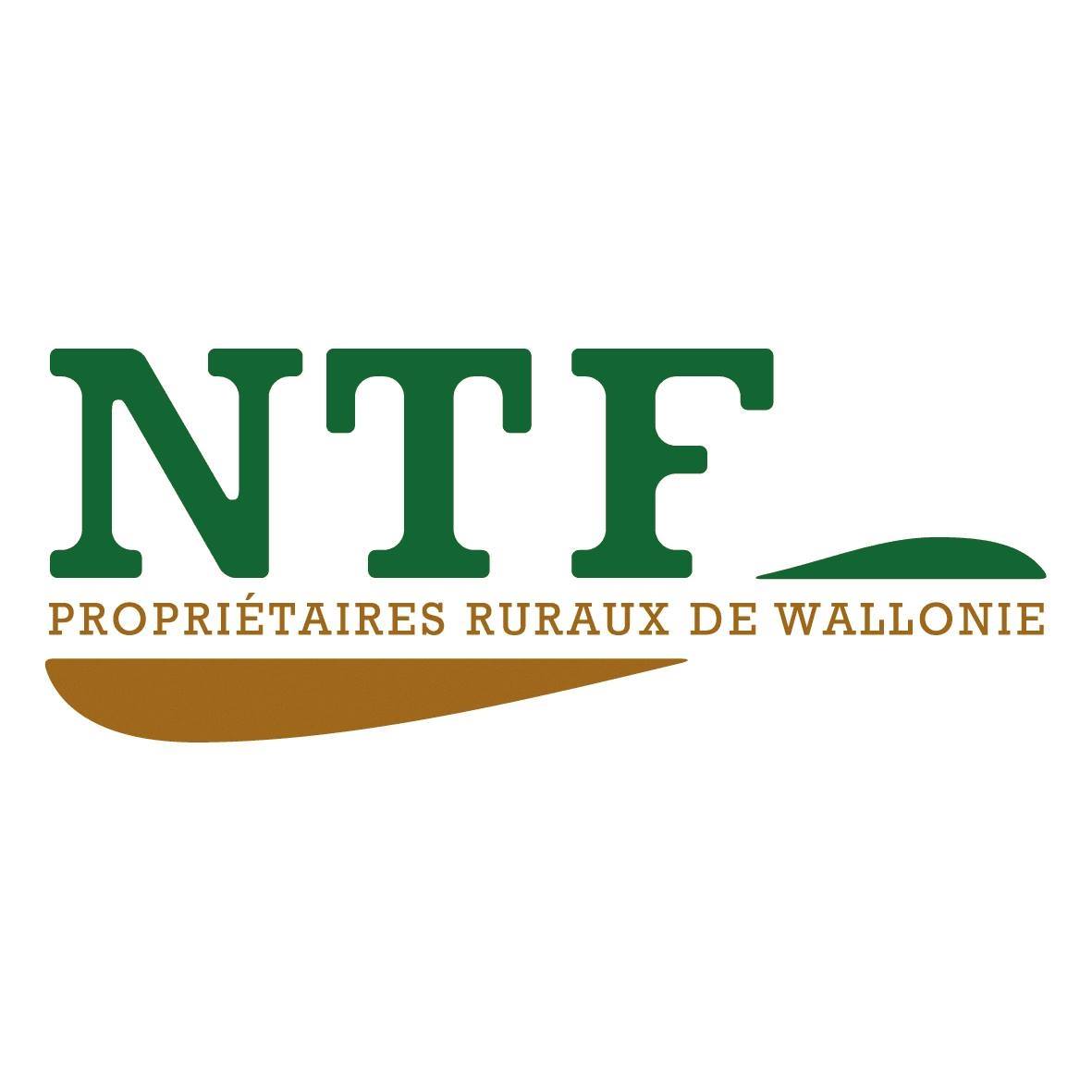 logo-NTF.jpg