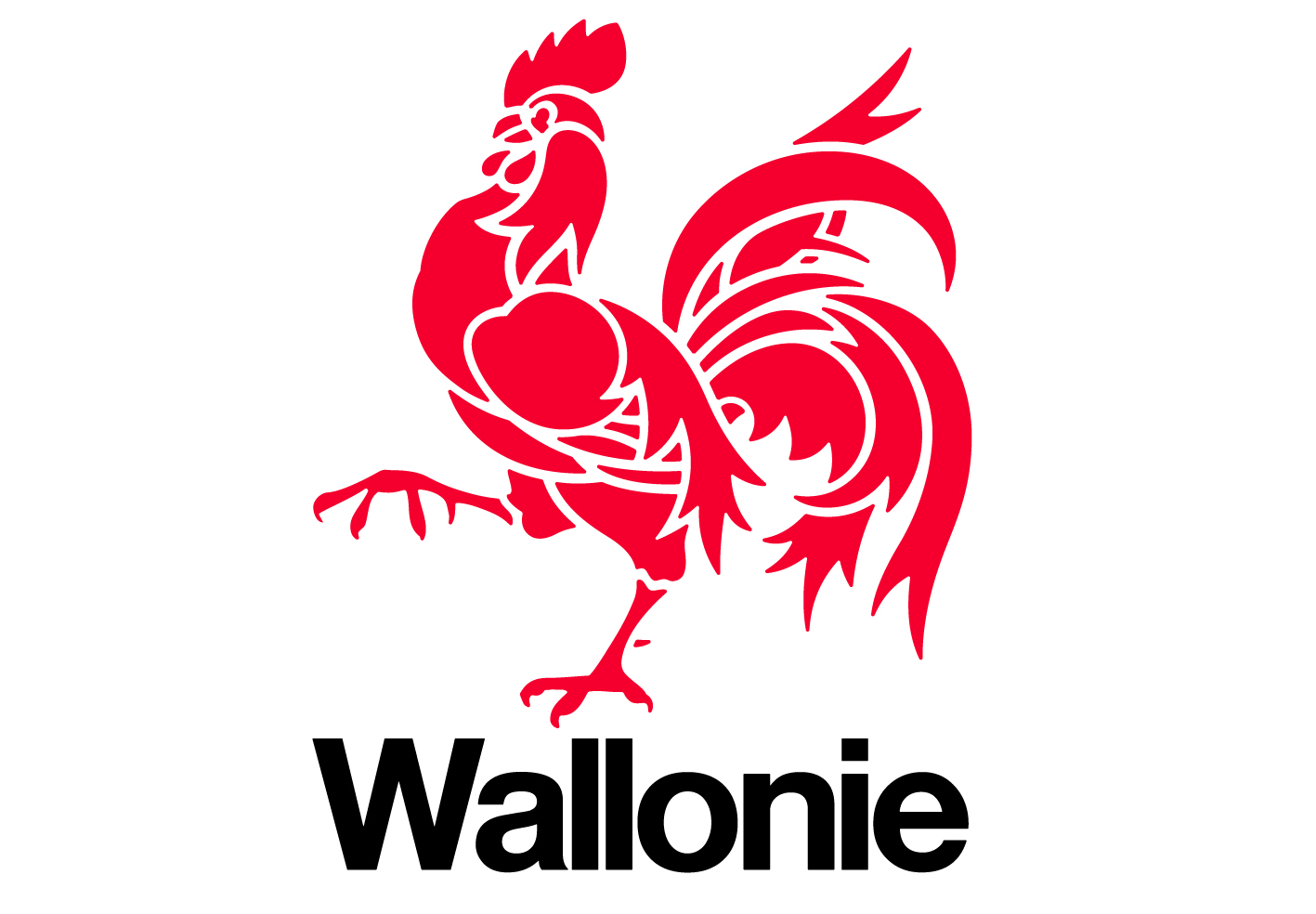 wallonie_v-crop1419x984.jpg