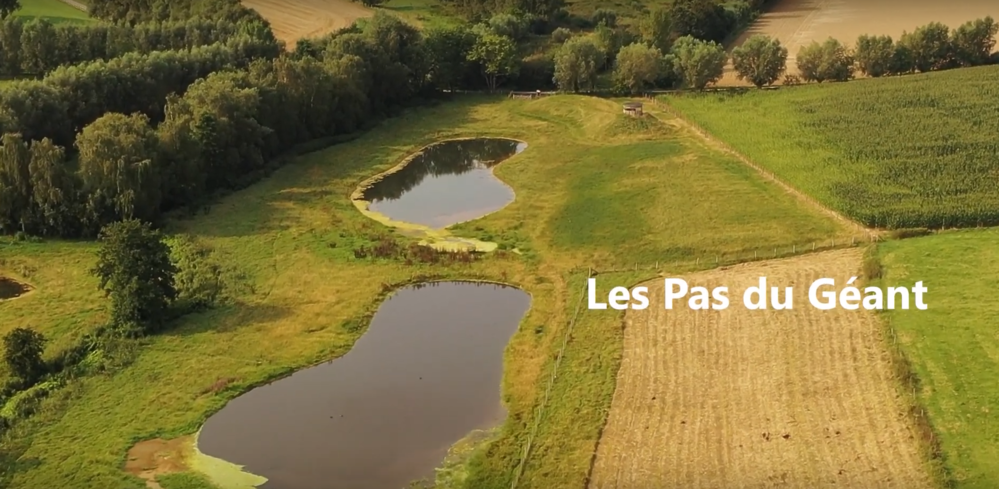 Climat : le SPW ARNE décroche le 3e prix aux Publica Awards avec « Les Pas du Géant »