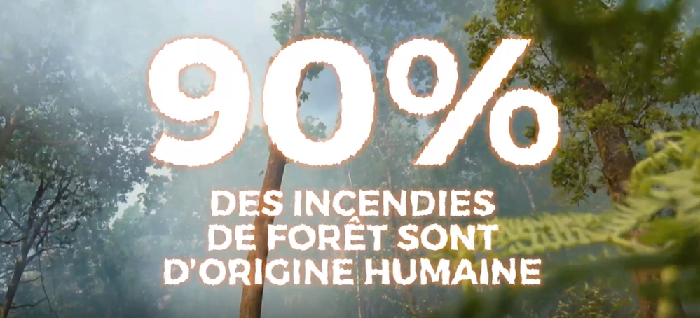 Feux de forêts : réduisons les risques  