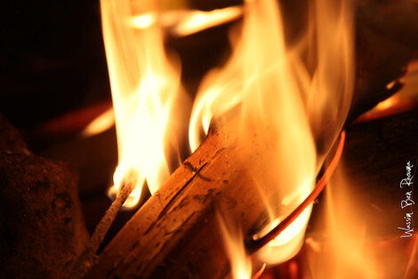 Actualité: Se chauffer au bois…mais dans de bonnes conditions