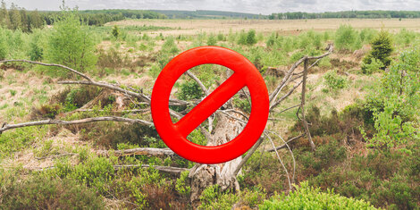 Actualité: Drapeau rouge dans les Hautes Fagnes : accès interdit dès ce mardi 13 mai en raison du risque d’incendie