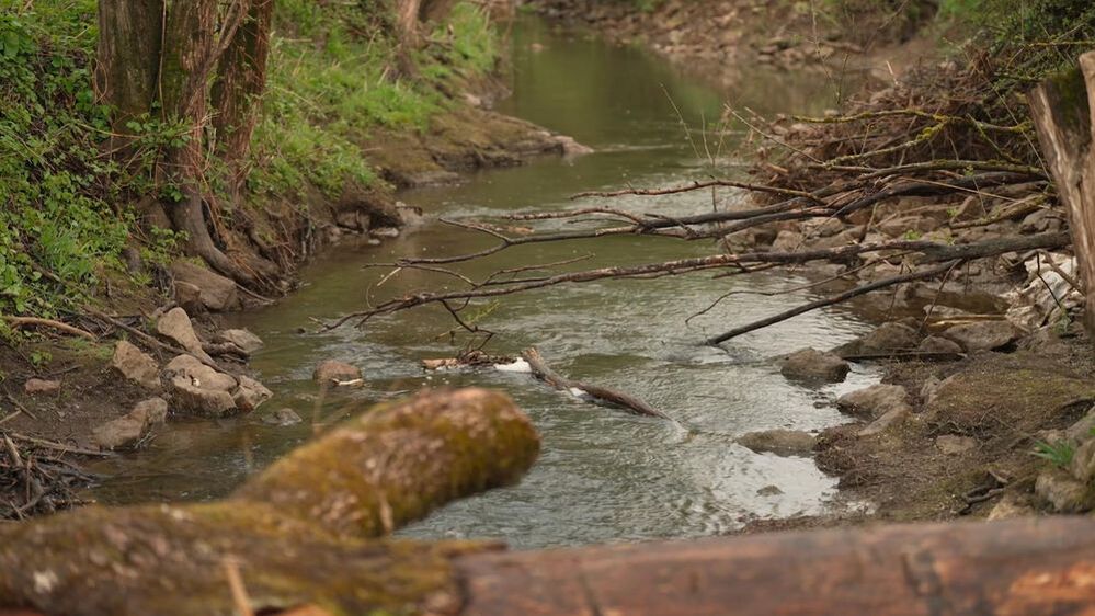 La Brouffe retrouve ses méandres : un projet mené avec engagement par une de nos équipes