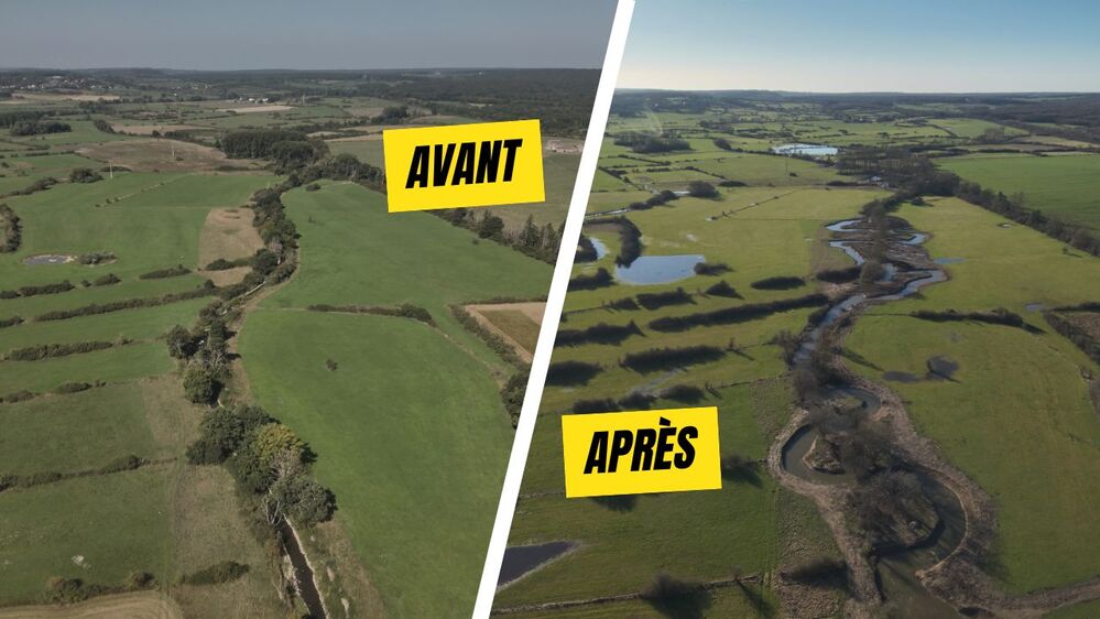Reméandration de l’Eau Blanche : restaurer un cours d’eau pour renforcer la biodiversité et la résilience climatique