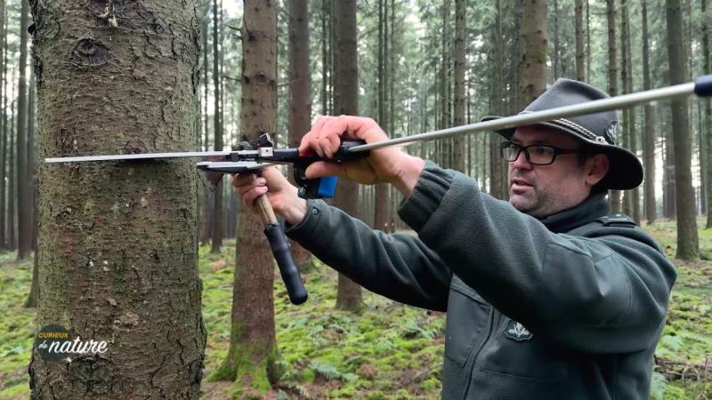 Dans les coulisses du travail des agents du Département de la Nature et des Forêts