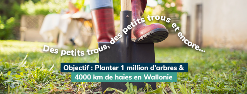 Yes We Plant : Déjà plus d'1 million d'arbres plantés en Wallonie !