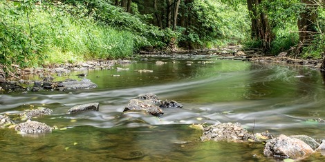 Actualité: Sécheresse en Wallonie : lancement du monitoring hivernal