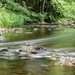 Sécheresse en Wallonie : des impacts déjà bien visibles