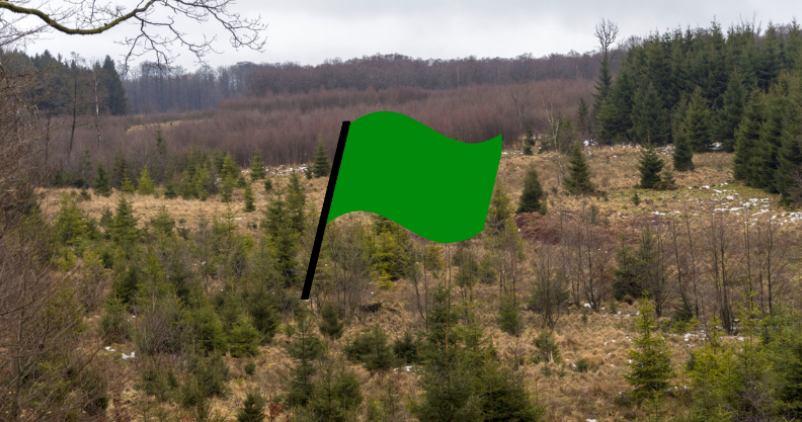 Risque d’incendie : fin du drapeau rouge dans la Réserve naturelle des Hautes Fagnes