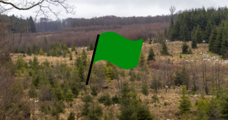Actualité: Risque d’incendie : fin du drapeau rouge dans la Réserve naturelle des Hautes Fagnes