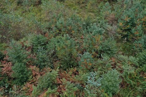 Actualité: Plan National de Relance et de Résilience