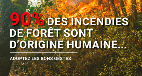 Actualité: Feux de forêts : réduisons les risques  