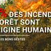 Feux de forêts : réduisons les risques  