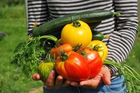 Actualité: Cultiver son jardin potager en Wallonie : conseils et précautions 
