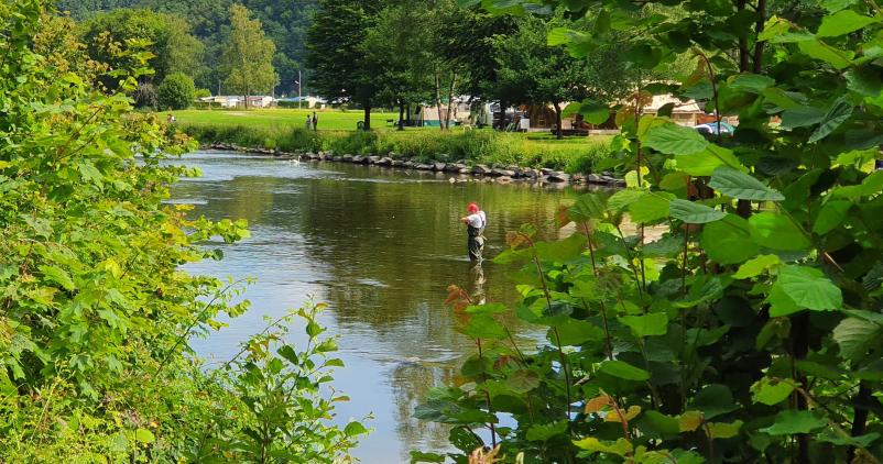 De nouvelles dispositions en matière de pêche en Wallonie