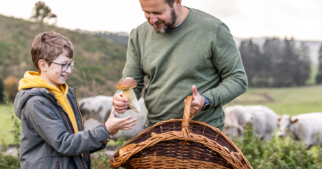 Ill. La Wallonie en automne ? Nature, brame et champignons !