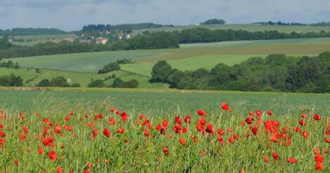 Ill. Coeur de Condroz : un nouveau parc naturel en Wallonie