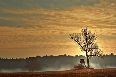 Ill. ChasseOnWeb : un nouvel outil pour tous les usagers de la forêt