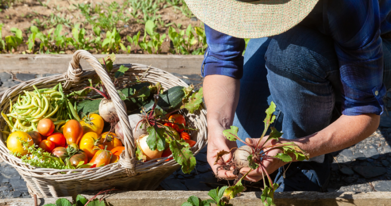 Jardinage : primes régionales pour l'analyse de sol, de fruits ou de légumes