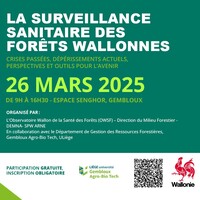Affiche Conférence : La Surveillance Sanitaire des Forêts wallonnes