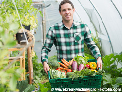 pesticides et assiettes.jpg