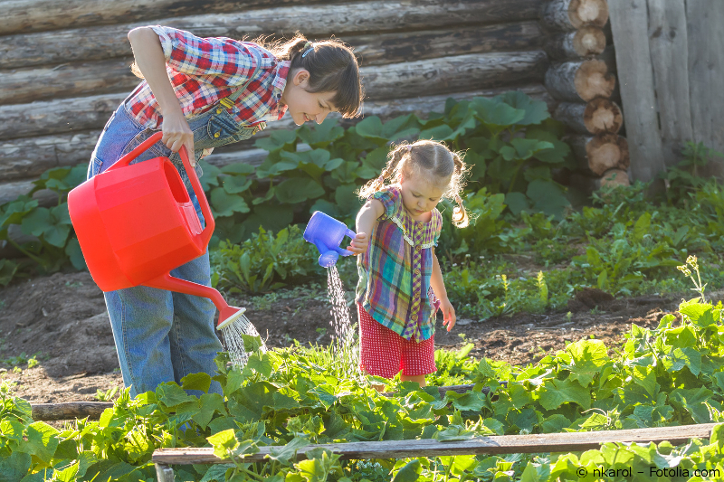 Utiliser de l’eau de pluie pour arroser son potager ? Oui mais…
