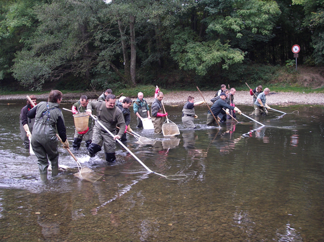 pêche électrique 1.png