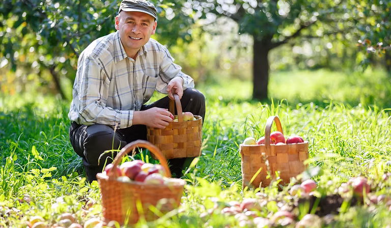 pesticides au jardin.avif