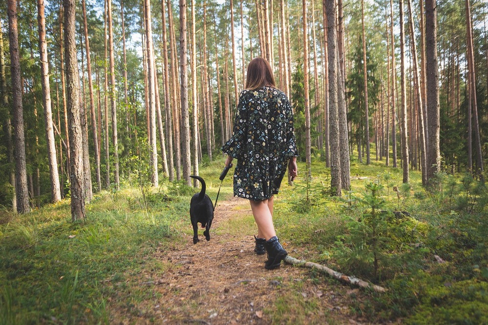 Comment permettre à votre chien de se dépenser et s’épanouir, tout en respectant la loi ?