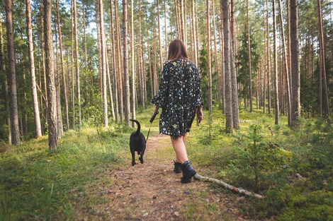 Ill. Comment permettre à votre chien de se dépenser et s’épanouir, tout en respectant la loi ?