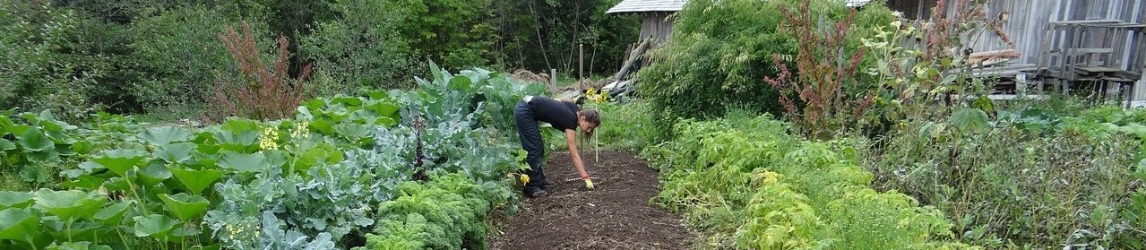 jardinage-banniere.jpg