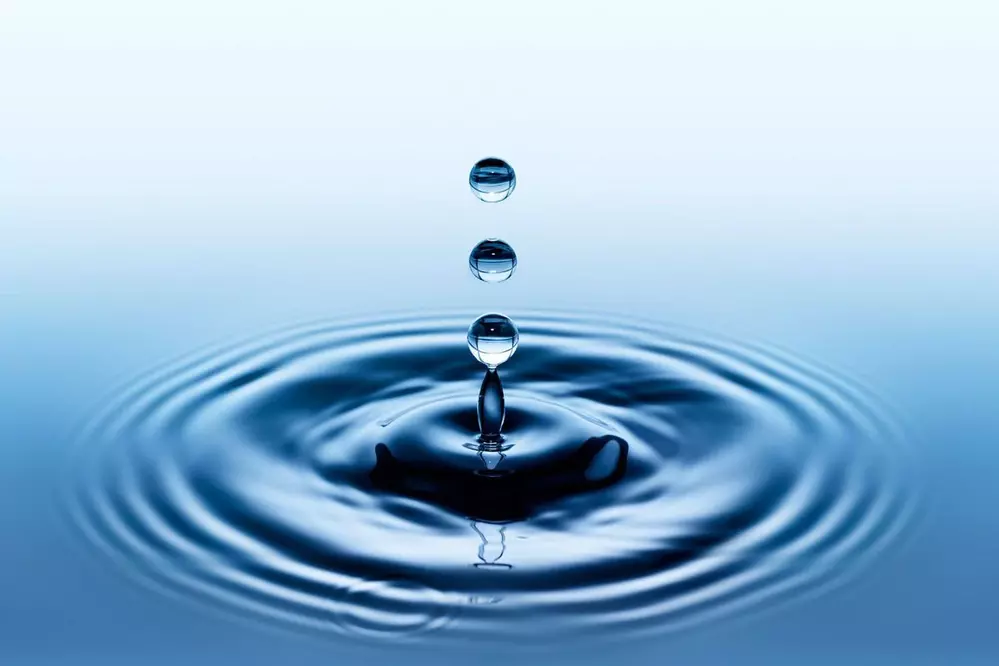 Les PFAS dans les eaux épurées et dans les boues d’épuration en Wallonie