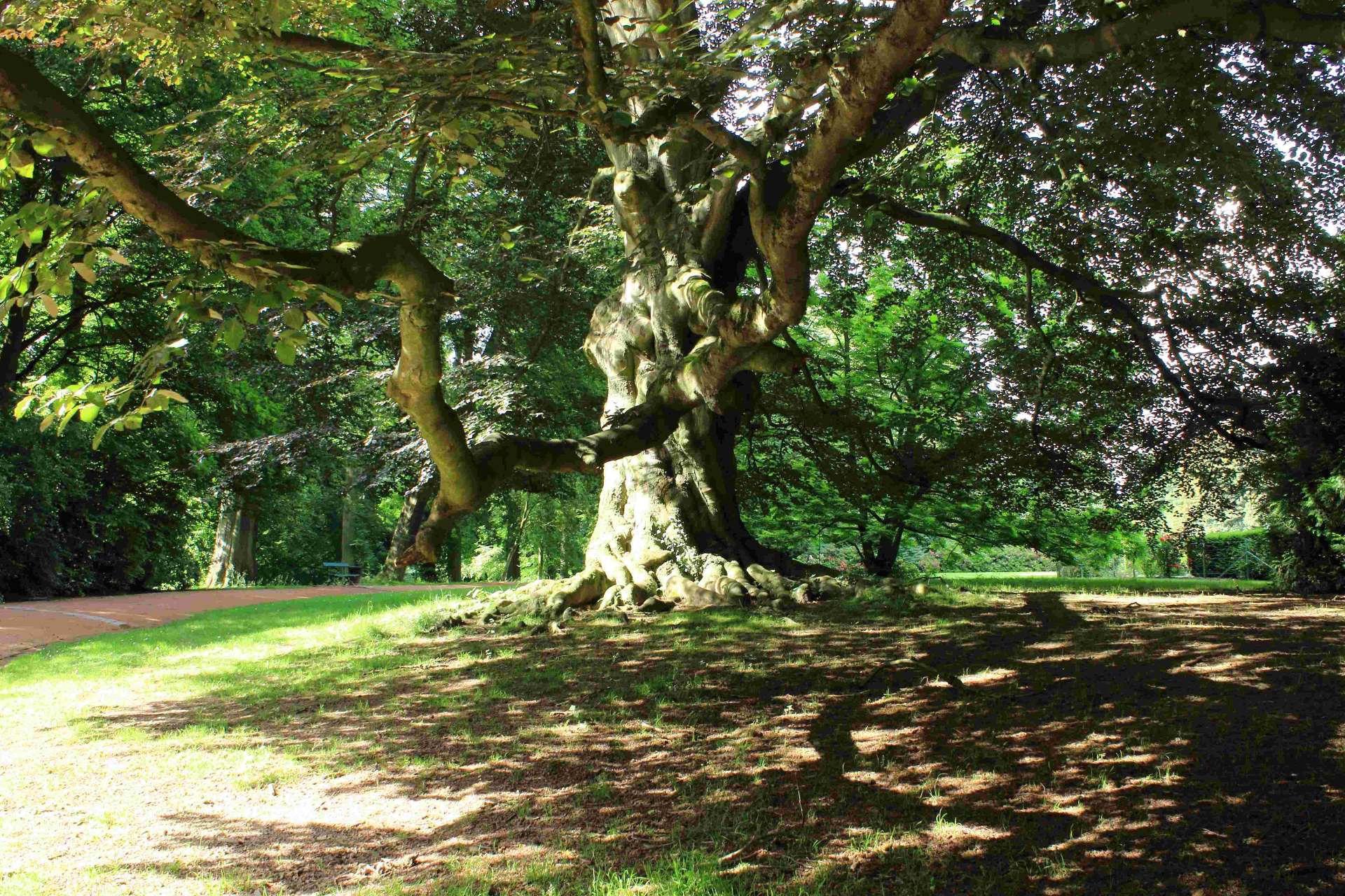 Parc de Mariemont - L'Environnement en Wallonie