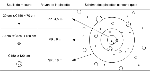 inv_ue_schema.png