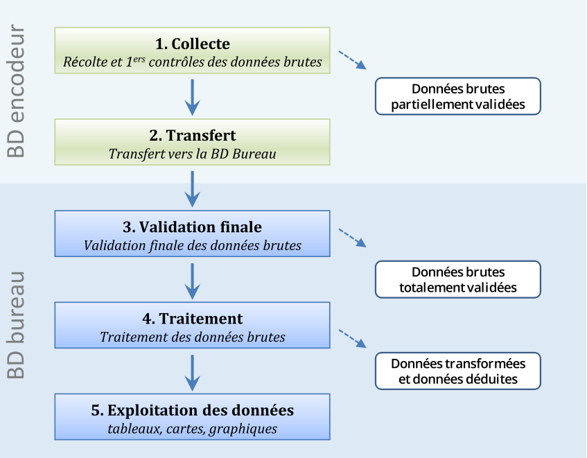 schema_gestion_info_2.png