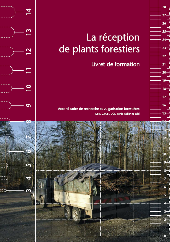 commerce-plants-forestiers-forets-publiques-region-wallonne