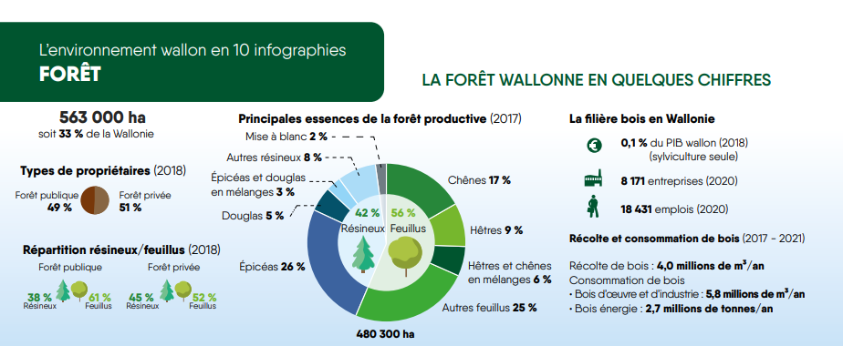 infographie.png