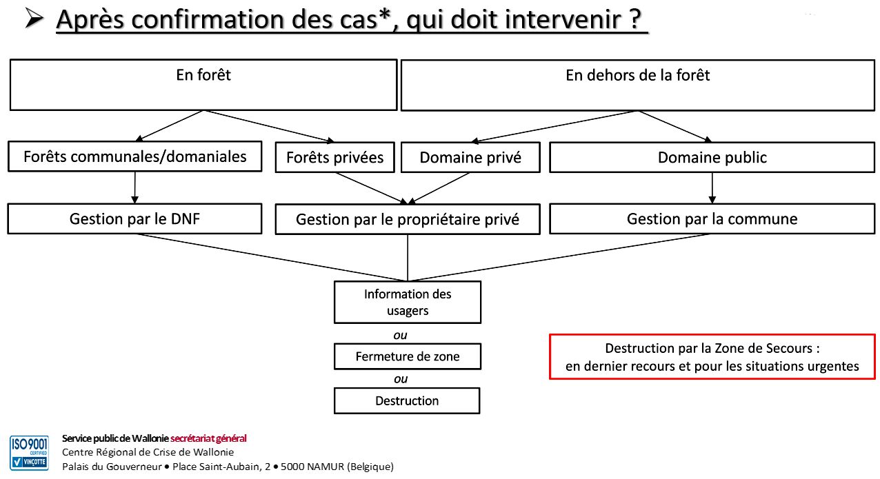 schema-intervention-communes-processionnaire.jpg