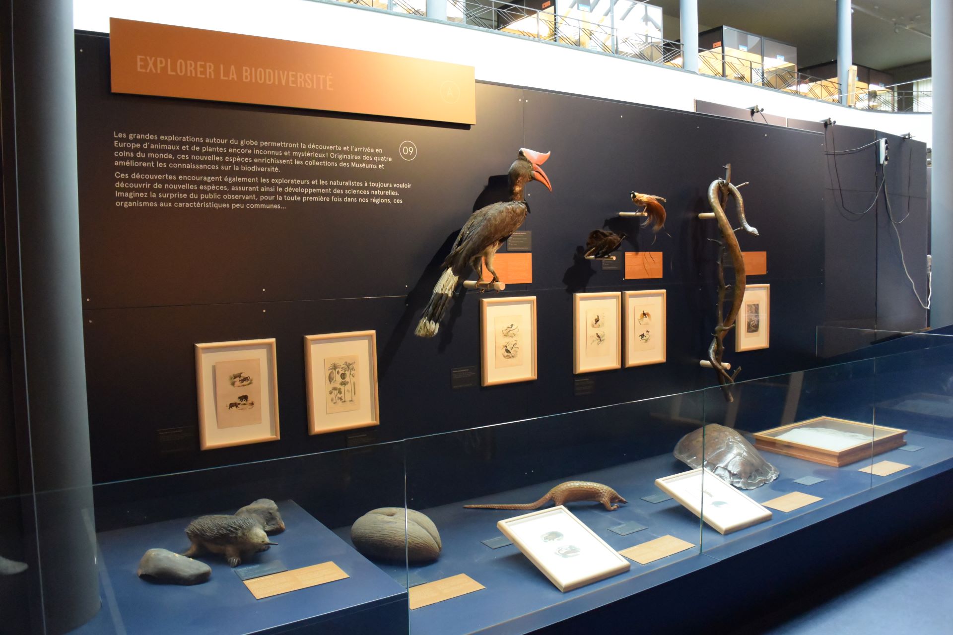 museum_2.JPG