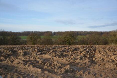 Actualité: Indice de Qualité des Sols Wallons : ouverture de la phase de consultation