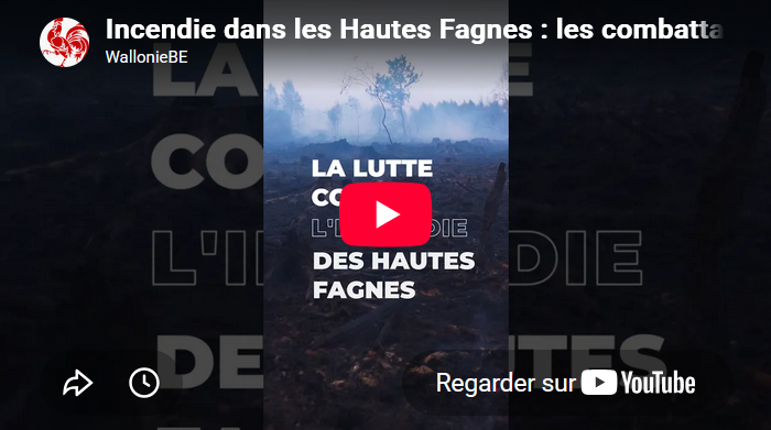 Incendie dans les Hautes Fagnes : les combattants de l'ombre 