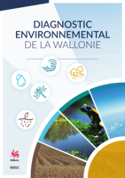 Diagnostic environnemental de la Wallonie (2024) 