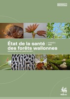 Etat de la santé des forêts wallonnes - données 2025 