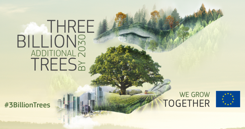 Yes We Plant s'associe au programme européen "3 billion trees"