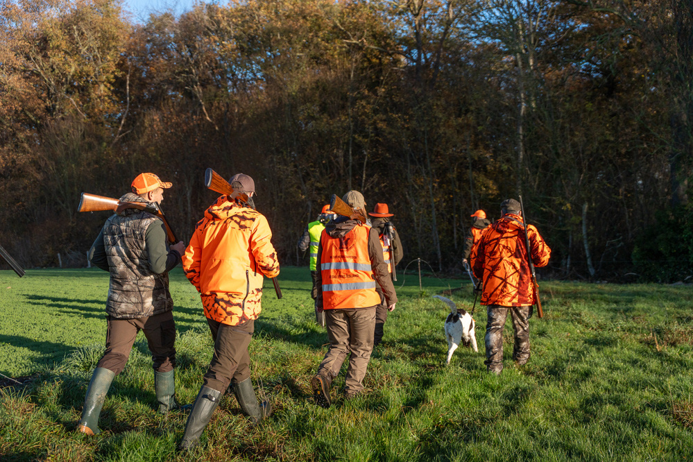 Permis de chasse : la Wallonie passe au numérique