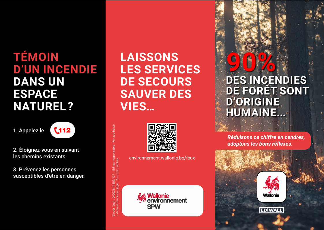 brochure.png